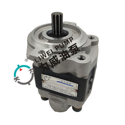 Liwei GPM High Pressure Hydraulic Gear Pump 67110-N3070-71